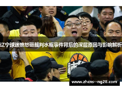 辽宁球迷愤怒砸裁判水瓶事件背后的深层原因与影响解析