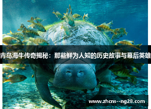 青岛海牛传奇揭秘：那些鲜为人知的历史故事与幕后英雄